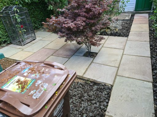 A landscaped garden with stone paths, a small tree, and a brown waste bin.